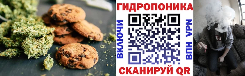 гидра ссылки  наркота  Нижняя Салда  Canna-Cookies марихуана 