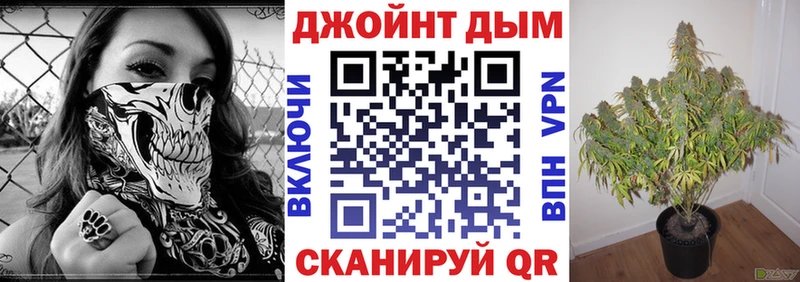 Шишки марихуана план  купить наркотики сайты  kraken как зайти  Нижняя Салда 